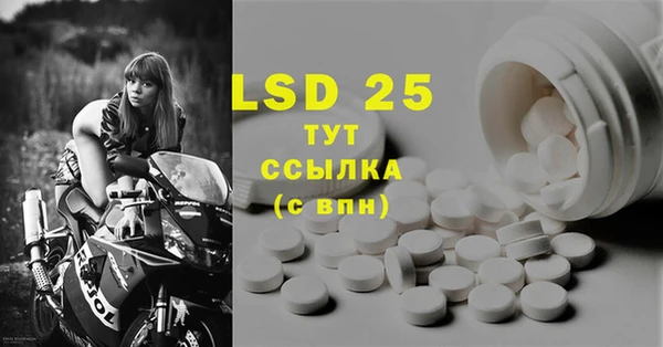 стафф Аркадак