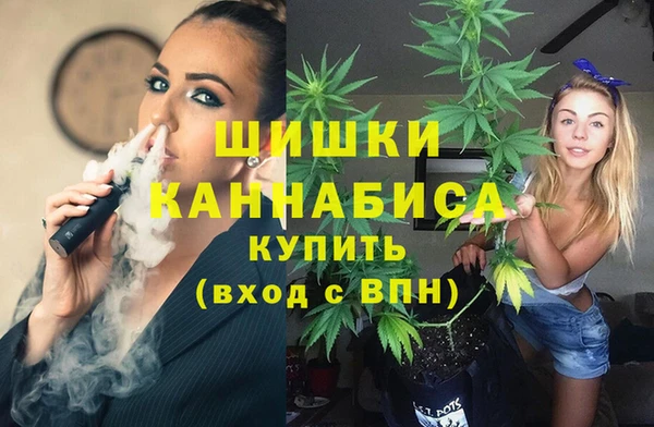 стафф Аркадак