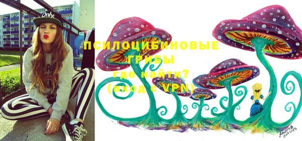 МДПВ Арсеньев