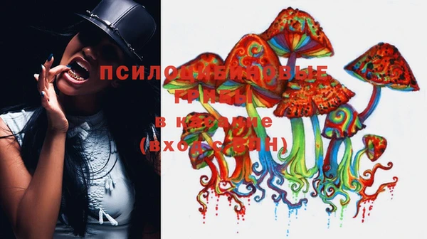 МДПВ Арсеньев
