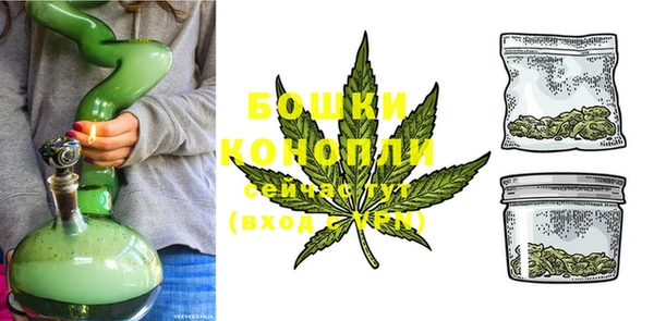 стафф Аркадак