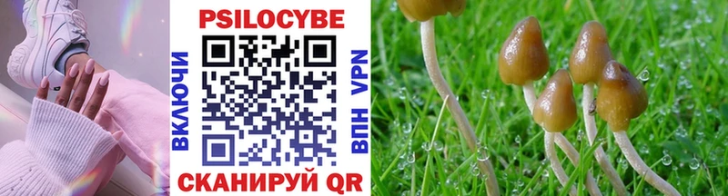 Псилоцибиновые грибы GOLDEN TEACHER  купить наркотики цена  Междуреченск 