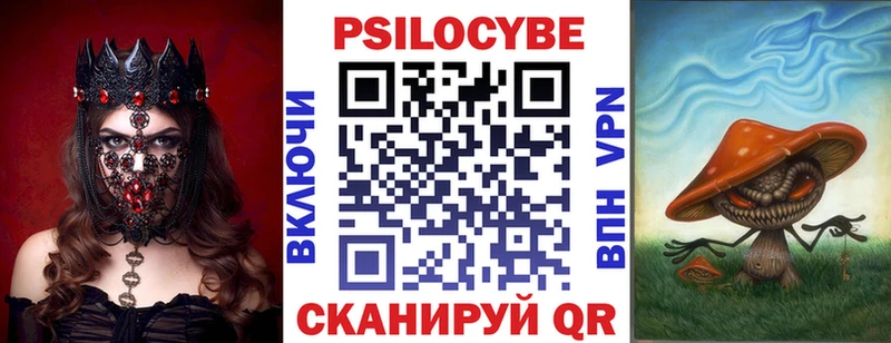 Галлюциногенные грибы Psilocybe Междуреченск